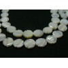 Perles intercalaire forme Poisson en Nacre coloris Blanc