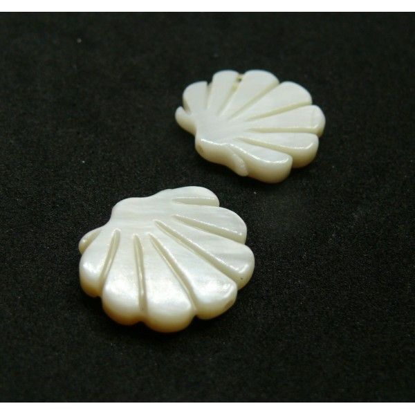 Perles intercalaire, Nacre Blanche, Coquille Saint Jacques 19mm