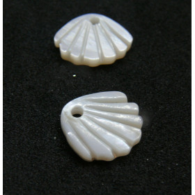 Pendentifs Coquille Saint Jacques 11mm, Nacre blanche