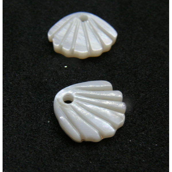 Pendentifs Coquille Saint Jacques 11mm, Nacre blanche