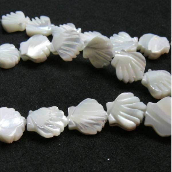 Perles intercalaire, Nacre Blanche, Coquille Saint Jacques 10mm