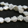 Perles intercalaire, Nacre Blanche, Coquille Saint Jacques 10mm