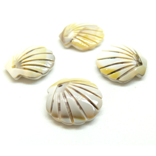 Pendentifs Coquille Saint Jacques 18.5mm en Acétate
