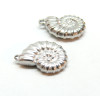 Pendentifs Coquillage 3D, Acier Inoxydable 304 finition Argenté