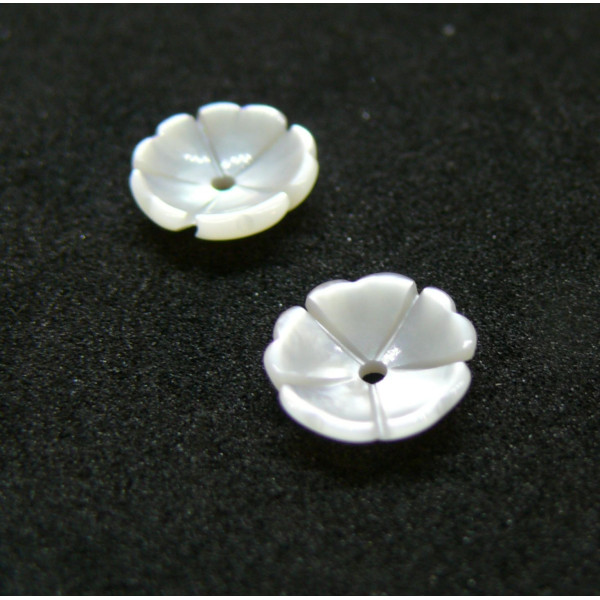 Perles, Cabochons forme Fleur 8mm, Nacre coloris Blanc
