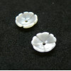 Perles, Cabochons forme Fleur 8mm, Nacre coloris Blanc