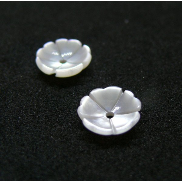 Perles, Cabochons forme Fleur 8mm, Nacre coloris Blanc