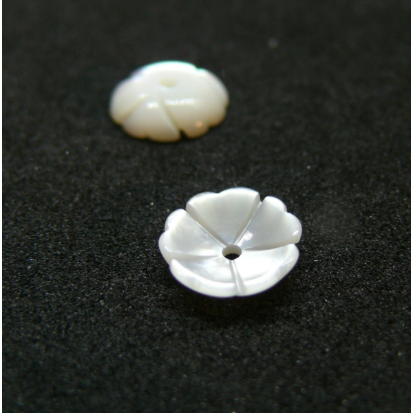 Perles, Cabochons forme Fleur 8mm, Nacre coloris Blanc