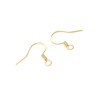 Boucles d'oreille Crochets 18 mm, ACIER INOXYDABLE 304, finition Doré  à l'or fin 18K