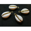 Pendentifs, Coquillage Cauri avec perles finition Doré 25mm