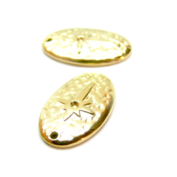 Pendentif, Médaillon Ovale avec étoile 20mm, Acier Inoxydable 316L doré à l'or fin 18K, Placage IONIQUE