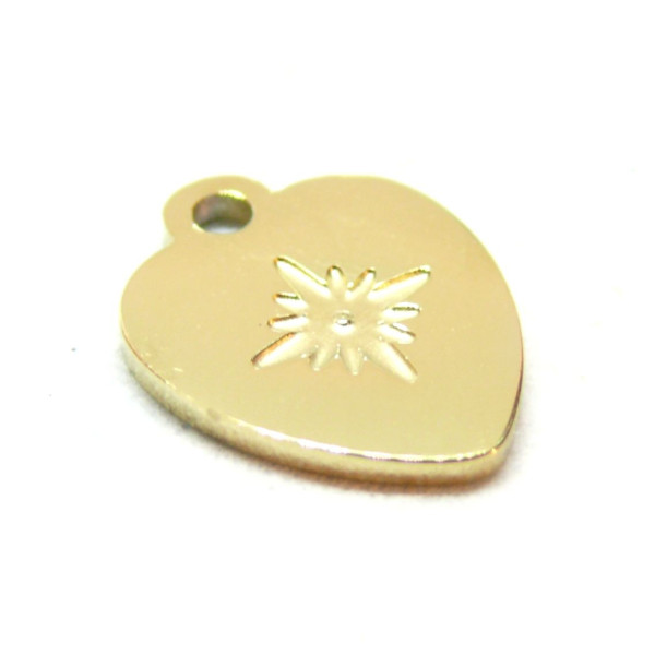 Pendentif Coeur avec étoile 13.5mm, Acier Inoxydable 316L doré à l'or fin 18K, Placage IONIQUE
