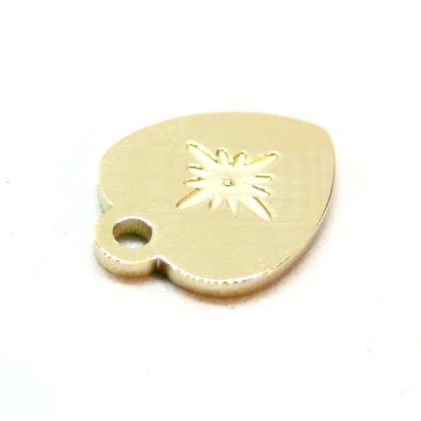 Pendentif Coeur avec étoile 13.5mm, Acier Inoxydable 316L doré à l'or fin 18K, Placage IONIQUE