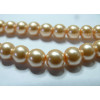 Ref A - 1 fil environ 140, perles de verre, nacre, champagne, 6mm