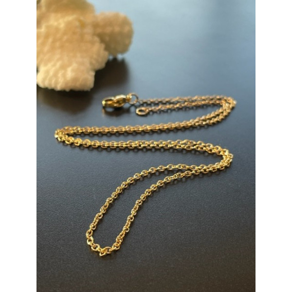 Collier Princesse 44 cm, maille fine 2mm, Acier Inoxydable 304, finition Doré Placage IONIQUE