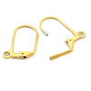 Boucles d'oreille dormeuses avec anneau d'attache 17mm, Acier Inoxydable, finition doré à l'or fin 18K, Placage IONIQUE