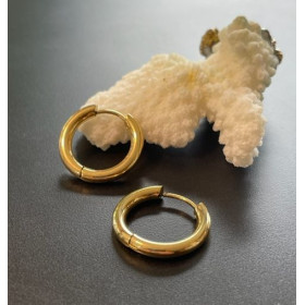 Créoles Rondes 21mm, épaisseur 2.5mm, Acier Inoxydable 316L finition Doré, Placage IONIQUE