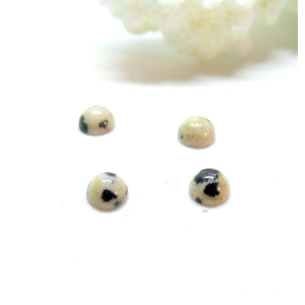 Cabochons Rond 4mm, Jaspe Dalmatien Coloris NO 50
