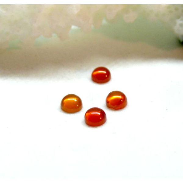 Cabochons Rond 3mm, Cornaline