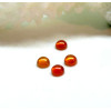 Cabochons Rond 3mm, Cornaline