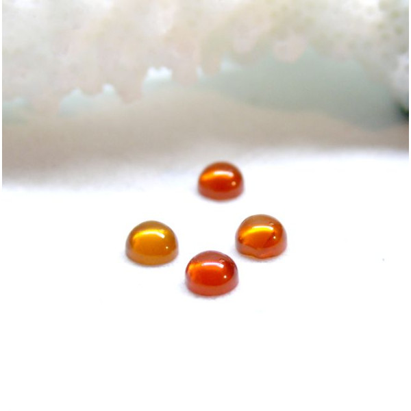 Cabochons Rond 3mm, Cornaline