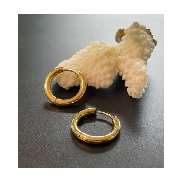 H11F28007C – Lot de 2 Créoles Rondes 15.5 x 1.6 mm – Acier Inoxydable 304 Doré à l’or fin 18K – PVD