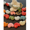 Perles Coquillage 20 mm – Céramique – Coloris Multicolore