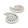 Pendentifs Connecteurs Coquillage 14mm – Acier Inoxydable Argenté