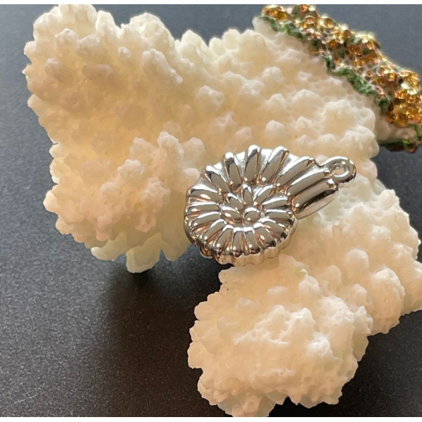 Pendentifs Coquillage Biface 3D 20mm – Acier Inoxydable 304 Argenté