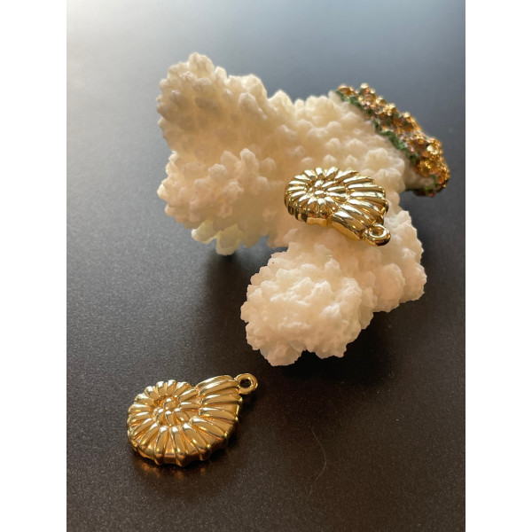 Pendentif Coquillage Biface 3D 20mm – Acier Inoxydable 304 Doré