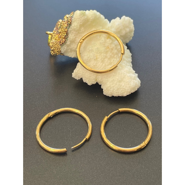 Créoles Rondes 25 mm – Épaisseur 2mm – Acier Inoxydable 316 – Finition Doré