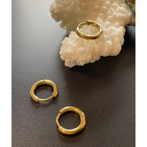 Créoles Rondes 12mm, épaisseur 2mm, Acier Inoxydable 304 finition Doré