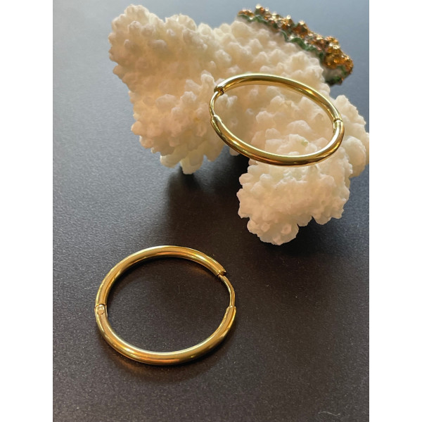 Créoles Rondes 24/25mm, épaisseur 2mm, Acier Inoxydable 304 finition Doré