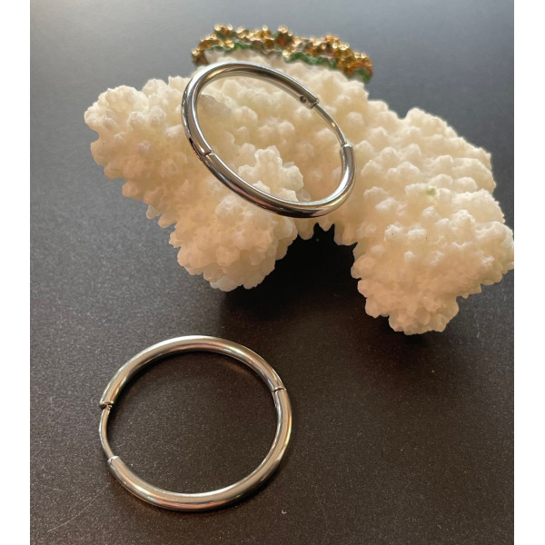 Créoles Rondes 24mm, épaisseur 2mm, Acier Inoxydable 304 finition Argenté