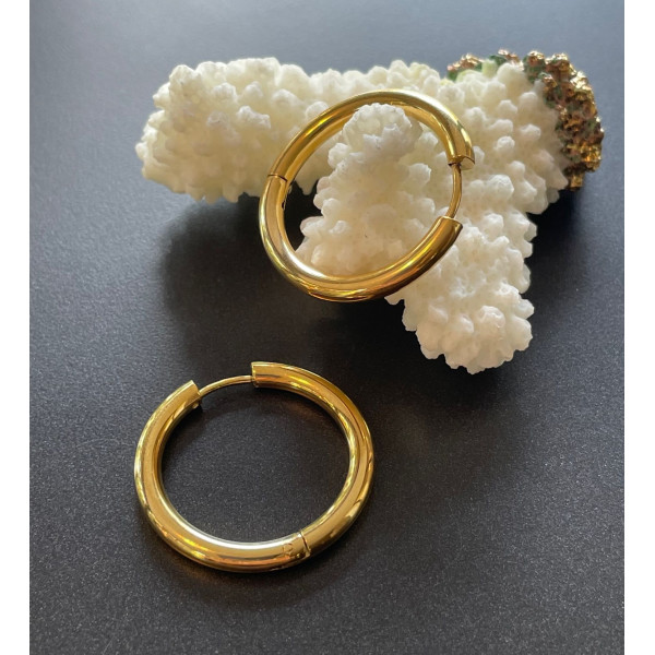 Créoles Rondes 24mm x 3mm – Acier Inoxydable 304 Doré