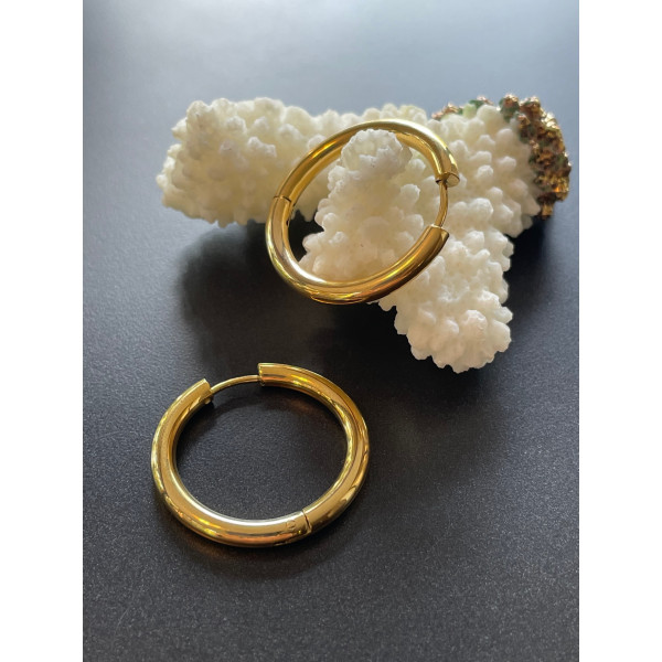 Créoles Rondes 24mm x 3mm – Acier Inoxydable 304 Doré