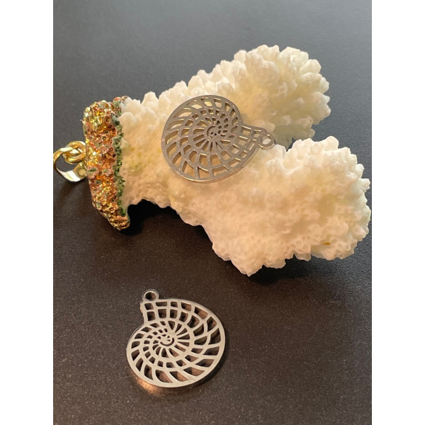 Pendentifs Coquillage 20mm – Acier Inoxydable 304 Argenté