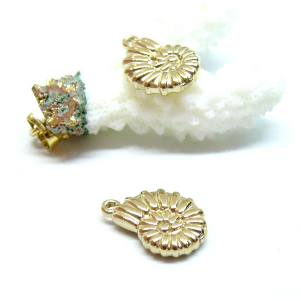 Pendentif Coquillage Biface 3D 20mm – Acier Inoxydable 304 Doré