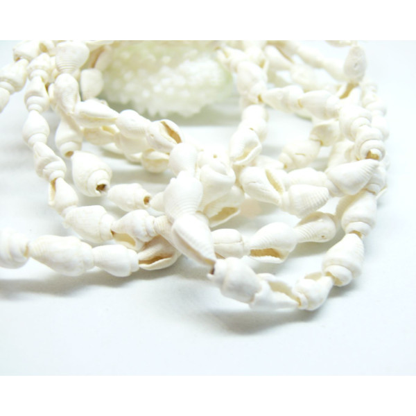 Pendentifs Coquillage Véritable