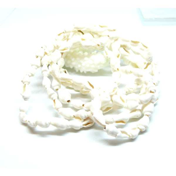 Pendentifs Coquillage Véritable