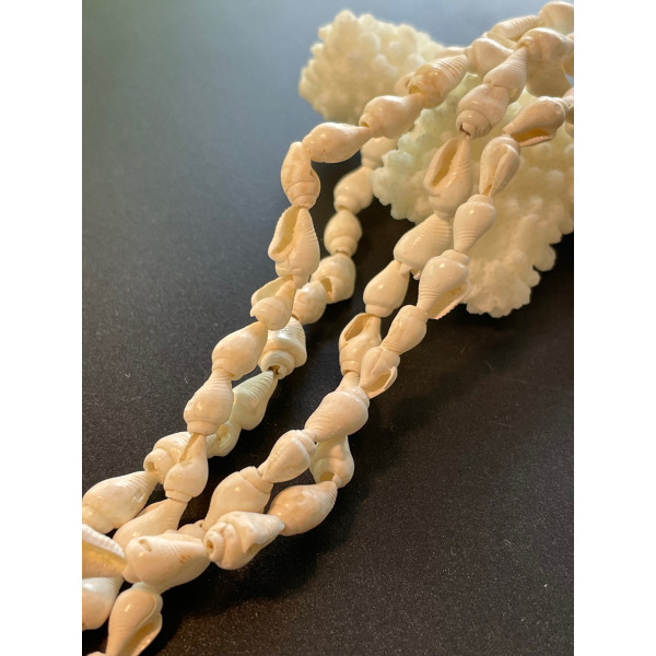 Pendentifs Coquillage Véritable