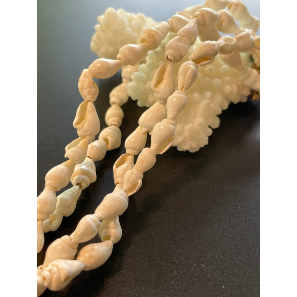 Pendentifs Coquillage Véritable