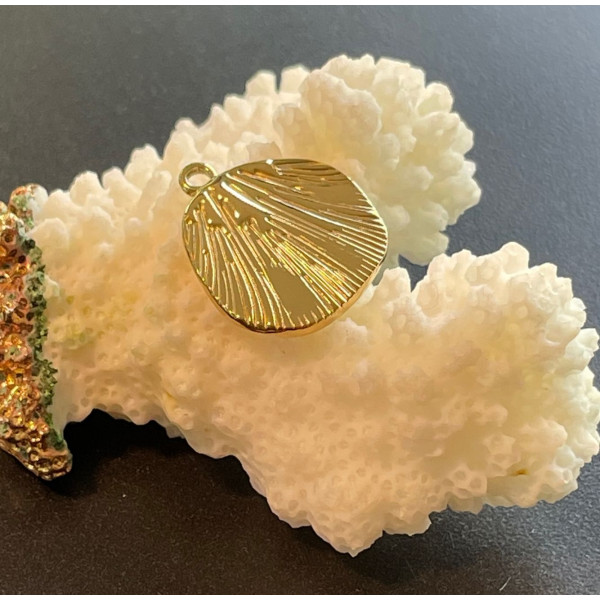 Pendentif Coquillage 16mm – Acier Inoxydable 304 Doré