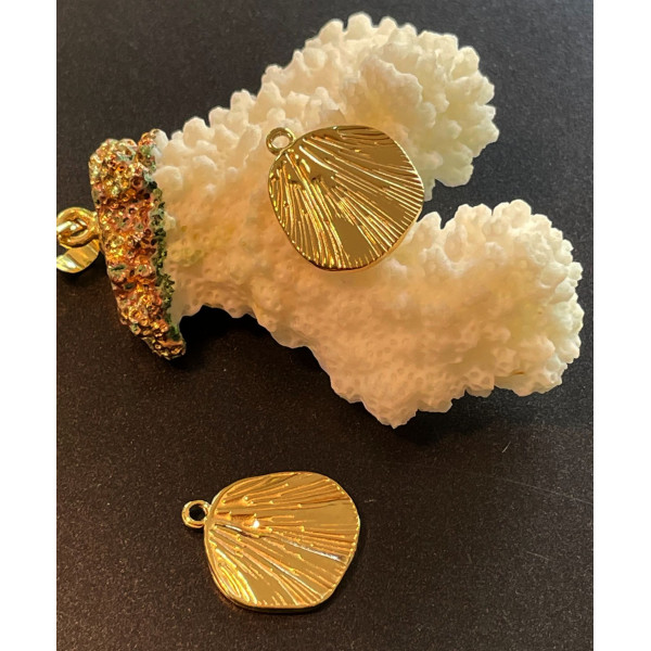 Pendentif Coquillage 16mm – Acier Inoxydable 304 Doré