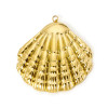 Pendentif Coquillage 35 mm – Acier Inoxydable 304 Doré à l’or fin 18K, PVD