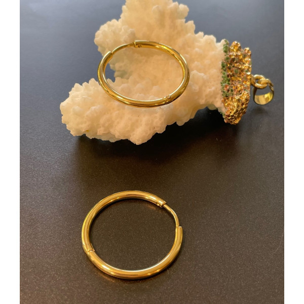 Créoles rondes 25 par 2.5 mm – Acier inoxydable 304 doré à l’or fin 18K – Finition IONIQUE