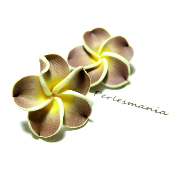 Fleurs Cabochons Marron Jaune 25mm – Fimo