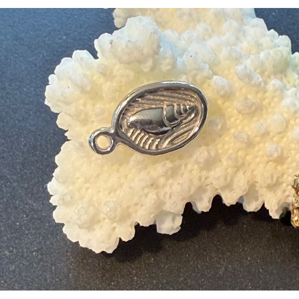 Pendentifs Coquillage dans Médaillon 16 mm – Acier Inoxydable 304 Argent