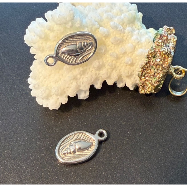 Pendentifs Coquillage dans Médaillon 16 mm – Acier Inoxydable 304 Argent