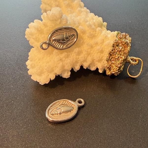 Pendentifs Coquillage dans Médaillon 16 mm – Acier Inoxydable 304 Argent